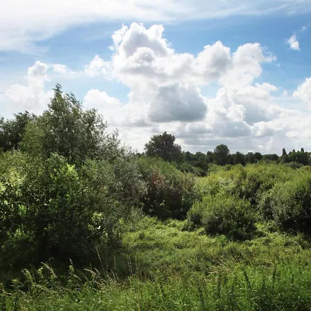 Quaint Farmhouse Near River In Oosterwijk Holiday home Leerdam