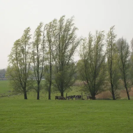 Quaint Farmhouse Near River In Oosterwijk * Leerdam
