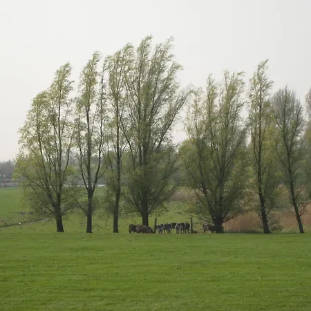 In Oosterwijk By River Linge * Leerdam