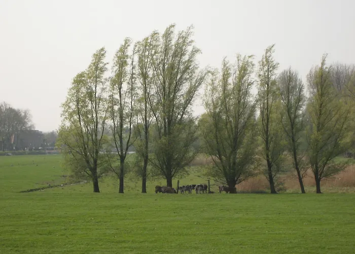 Farmhouse In Oosterwijk By River Linge * Leerdam