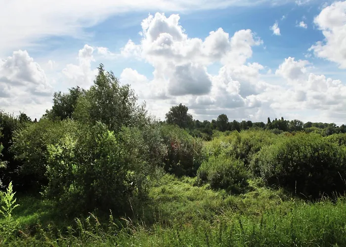 Holiday home Farmhouse In Oosterwijk By River Linge
