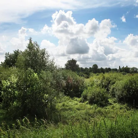 Casa vacanze In Oosterwijk By River Linge